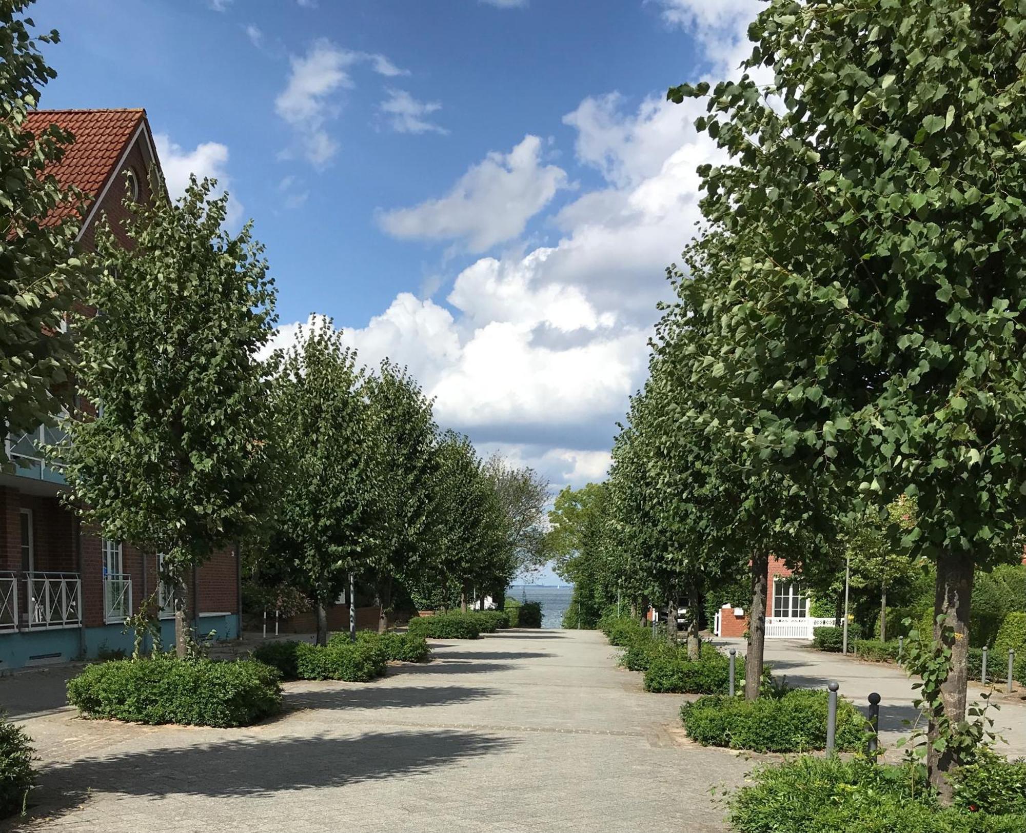 Ost11A Ferienwohnung Strandnah Niendorf  Eksteriør bilde